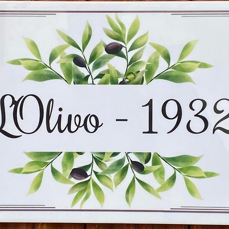 L'Olivo - 1932 Lejlighed Controguerra Eksteriør billede